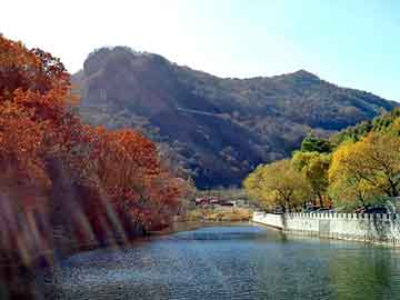 新澳天天开奖资料大全旅游团，广告机